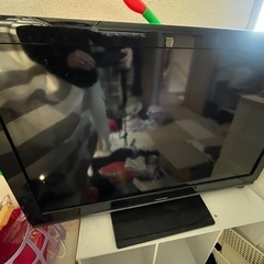 テレビ