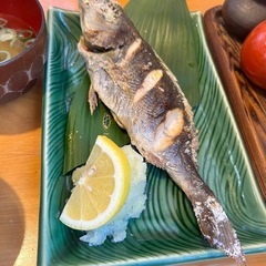 魚が捌ける料理人さん探してます！の画像