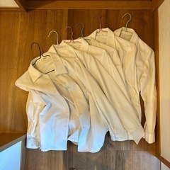 レディースブラウス　6枚セット