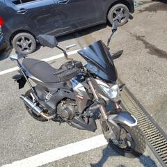 Z125PRO