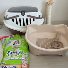 子猫お迎えセット