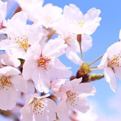 【3/26（水）13：00〜人生のステップアップを目指す方向けの...