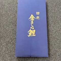 鯉のぼり
