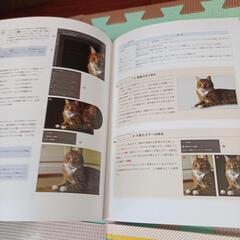 Photoshop Illustrator HTML5&CSS3 JQueryの画像