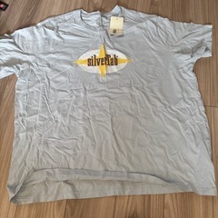2L〜4L  未使用のお洋服セット