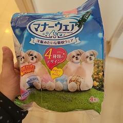 メス犬用オムツ