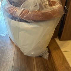 観葉植物鉢