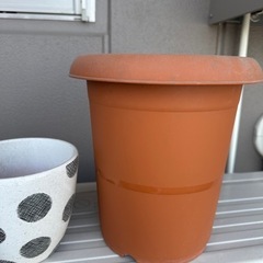 鉢の画像
