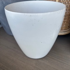 観葉植物備品