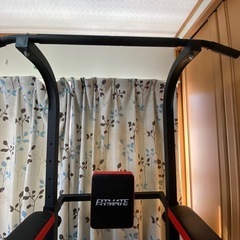 【美品】懸垂器具　FIT MATE