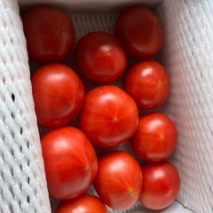糖度9℃🍅麗🍅フルーツトマト初入荷⭐︎３箱入りました！✨