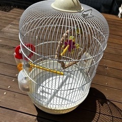 鳥カゴとカバーの画像