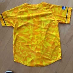 新品　　阪神タイガース　　2枚組みの画像