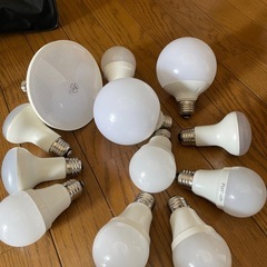 LEDの電球セット　100V AC コード付き