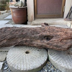 大きな流木(アクアリウム、巨大水槽用)の画像