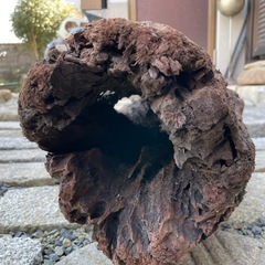 大きな流木(アクアリウム、巨大水槽用)の画像