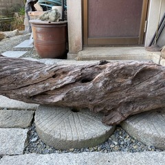 大きな流木(アクアリウム、巨大水槽用)