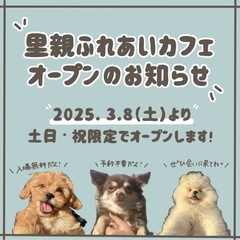 【OPEN】里親ふれあいカフェ『来店予約不要』