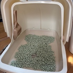 デオトイレ 猫用 本体セット フード付　保護猫　ねこ　ネコ　　の画像