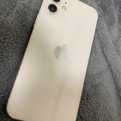 iPhone12(256G)