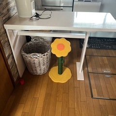 天然木　無垢板　テーブル　の画像