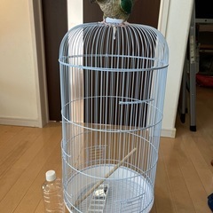 鳥のゲージ丸型の画像