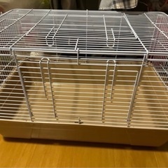 小動物　グッズ