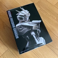 機動戦士ガンダムSEED FREEDOM G-CERAMICALライジングフリーダムガンダムの画像