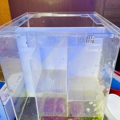 45cmアクリル水槽　背面濾過の画像