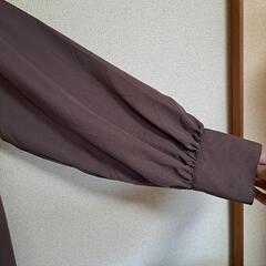 ワンピース Lの画像