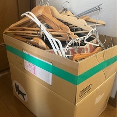 ハンガーセット
