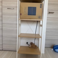棚