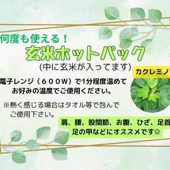 腸から健康に❣️新たな健康法～セルフケア体験会～の画像
