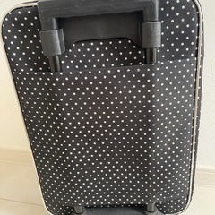 キャリーバッグ(小)の画像