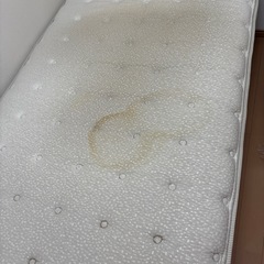 ニトリシングルベット
の画像
