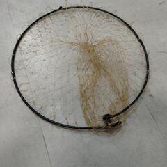 玉網　45センチの画像