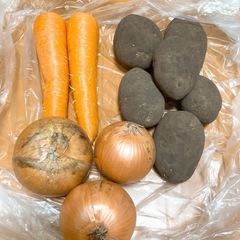 【決まりました】お野菜お譲りいたします。