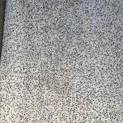 イケア絨毯 マット