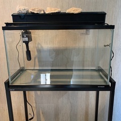 コトブキ　60センチ水槽