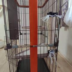 キャットタワー付きゲージの画像