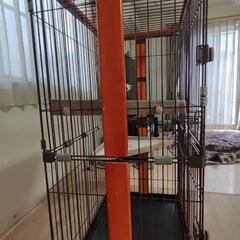 キャットタワー付きゲージの画像