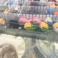 100均　プチブロックの画像