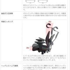 【値下げ】デュオレストDR-7501spの画像