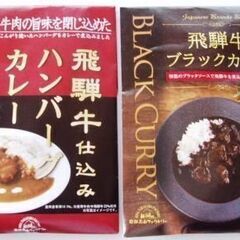 飛騨牛仕込み ハンバーグカレー2個　飛騨牛 ブラックカレー　2個...