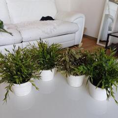 【IKEA】人工観葉植物 FEJKA フェイカ 4点セット