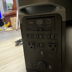 EcoFlow DELTA 2 ZMR330-JP デルタ2 エコフロー
の画像