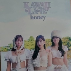 LARME KAWAIILAB. honey 写真集　