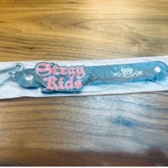 Stray Kids スキズ domin ATE World T...