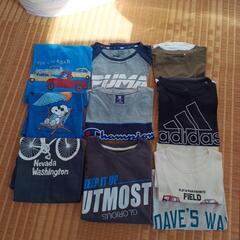 男児Tシャツ各種　150