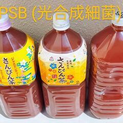 【在庫残5本】超濃厚PSB 光合成細菌 活バクテリア2L〜　熱帯...